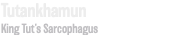 Tutankhamun King Tut’s Sarcophagus